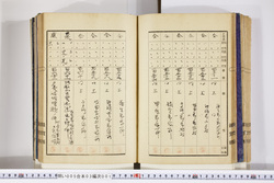 明い005030010017.jpg