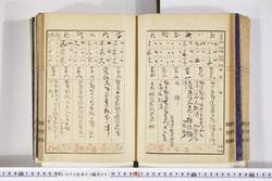 明い005030010021.jpg