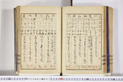 明い005030010022.jpg