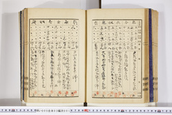 明い005030010024.jpg