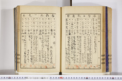 明い005030010025.jpg