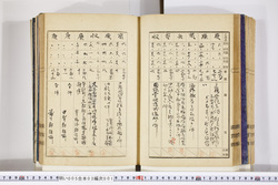 明い005030010027.jpg
