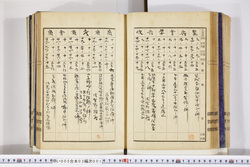 明い005030010034.jpg