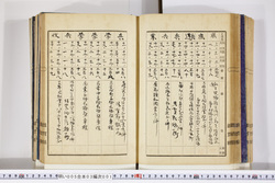明い005030010036.jpg