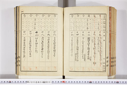 明い005040010004.jpg