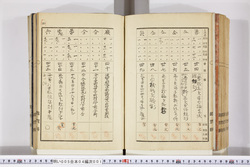 明い005040010006.jpg