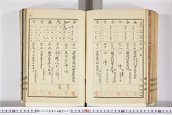 明い005040010007.jpg