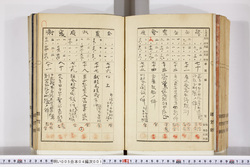 明い005040010009.jpg