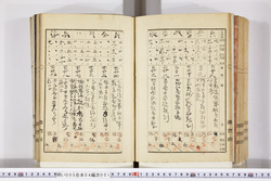 明い005040010013.jpg
