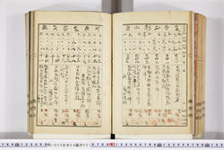 明い005040010014.jpg