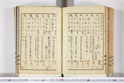 明い005040010015.jpg