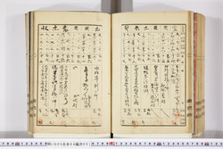 明い005040010016.jpg