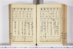 明い005040010018.jpg