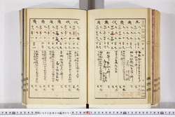 明い005040010019.jpg