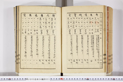 明い005040010020.jpg