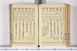 明い005040010021.jpg