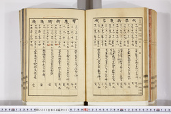 明い005040010022.jpg