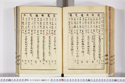 明い005040010023.jpg