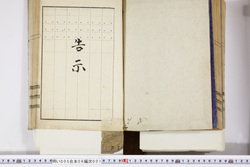 明い005060010002.jpg