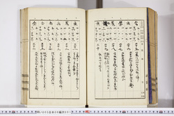 明い005060010005.jpg