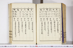 明い005060010006.jpg