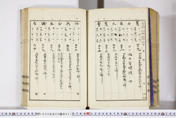 明い005060010007.jpg
