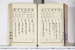 明い005060010008.jpg