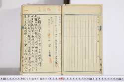 明い006010000005.jpg