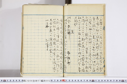 明い006010020002.jpg