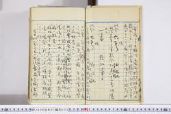 明い006010030002.jpg
