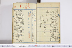 明い006010030004.jpg
