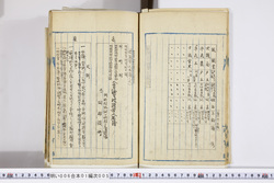 明い006010050004.jpg