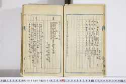 明い006010050005.jpg