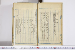 明い006010050006.jpg