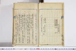 明い006010050009.jpg