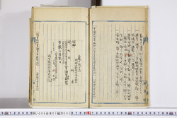 明い006010050010.jpg