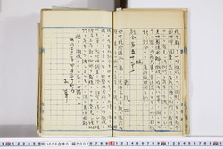 明い006010070002.jpg