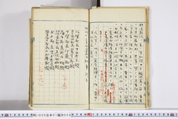 明い006010080002.jpg