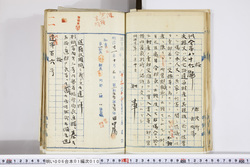 明い006010100002.jpg