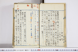 明い006010110002.jpg