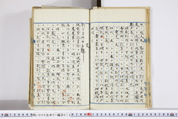 明い006010120002.jpg