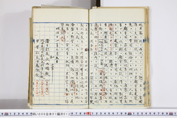 明い006010120003.jpg