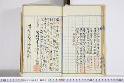 明い006010120004.jpg