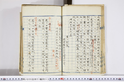 明い006010120012.jpg