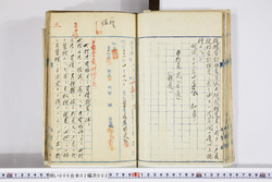 明い006020020002.jpg