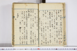 明い006020040002.jpg