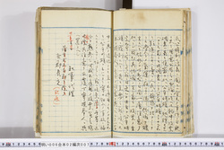 明い006020070002.jpg