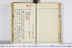 明い006020070003.jpg