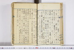 明い006020080002.jpg
