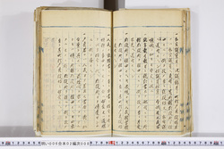 明い006020080004.jpg